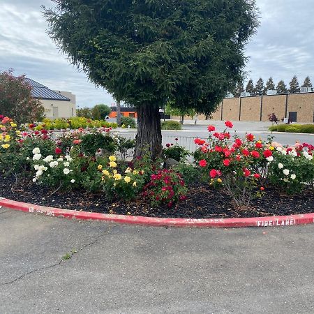 Oasis Inn Sacramento- Elk Grove Экстерьер фото
