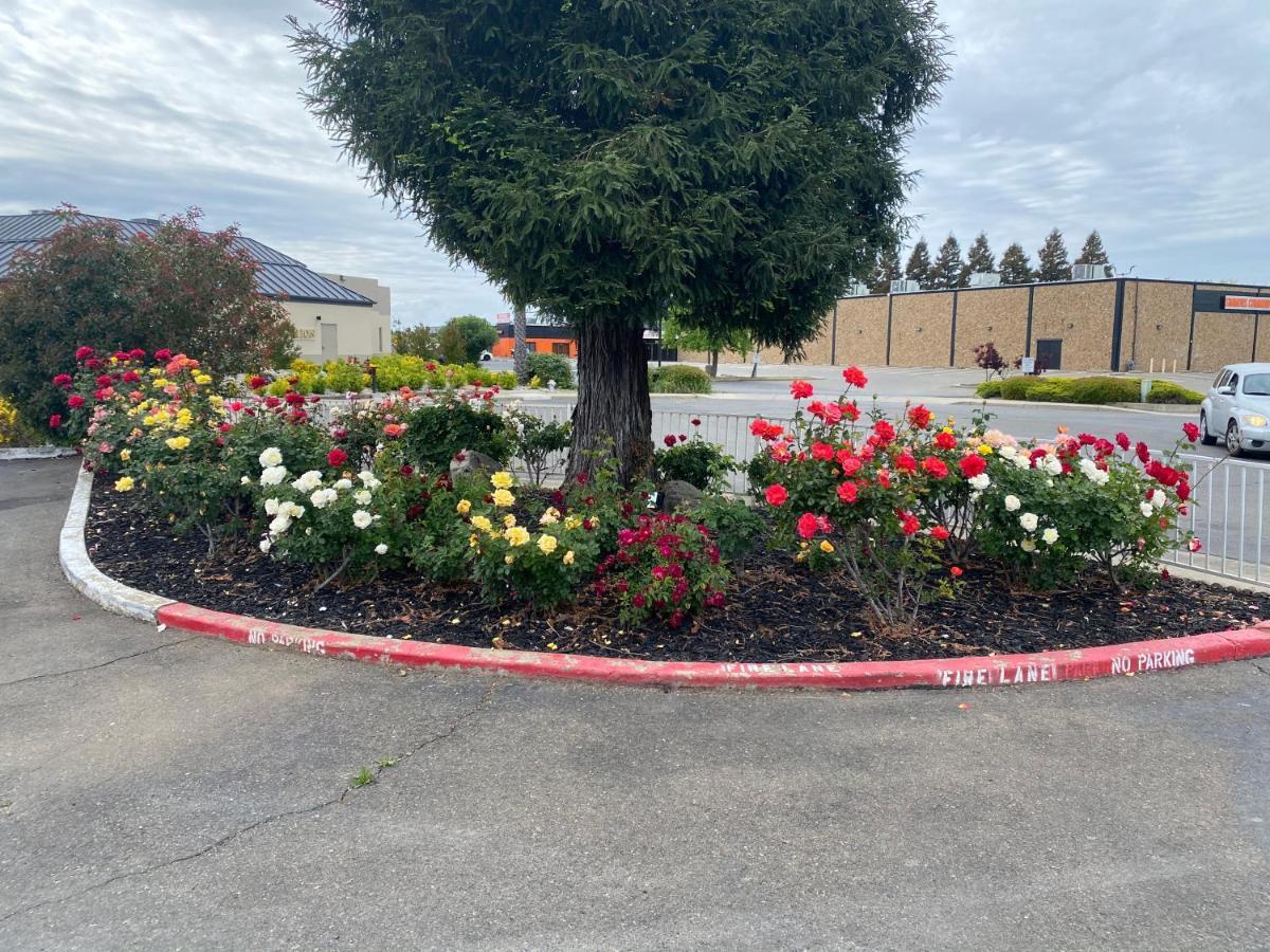 Oasis Inn Sacramento- Elk Grove Экстерьер фото